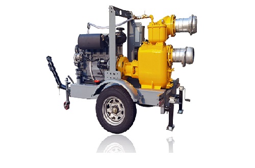 Copy the Varisco Simple diesel engine pump